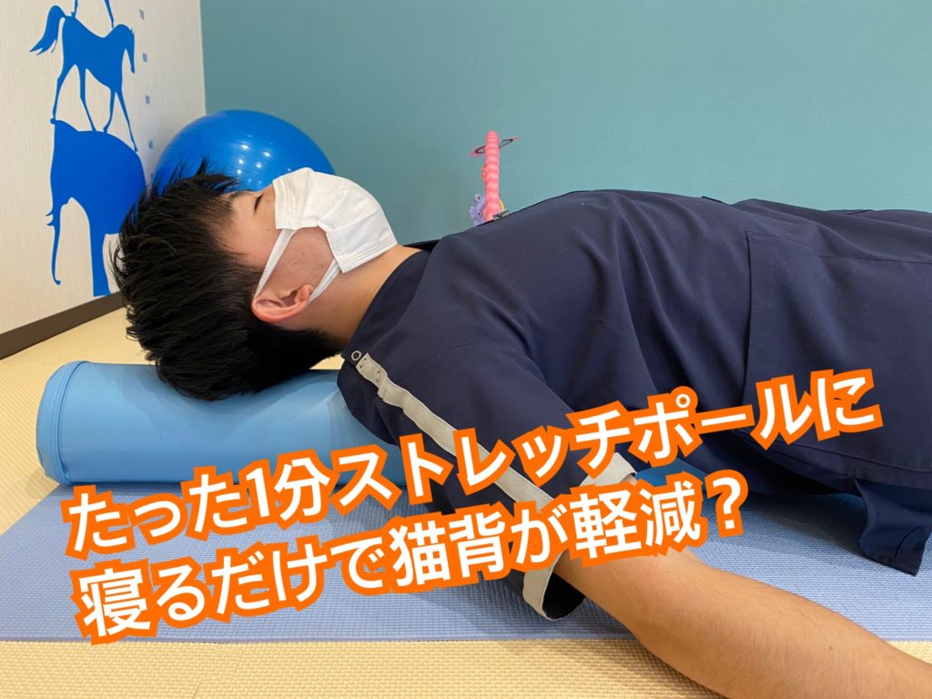 たった１分ストレッチポールに寝るだけで猫背が軽減 そら鍼灸接骨院 ヤオコー佐倉染井野店